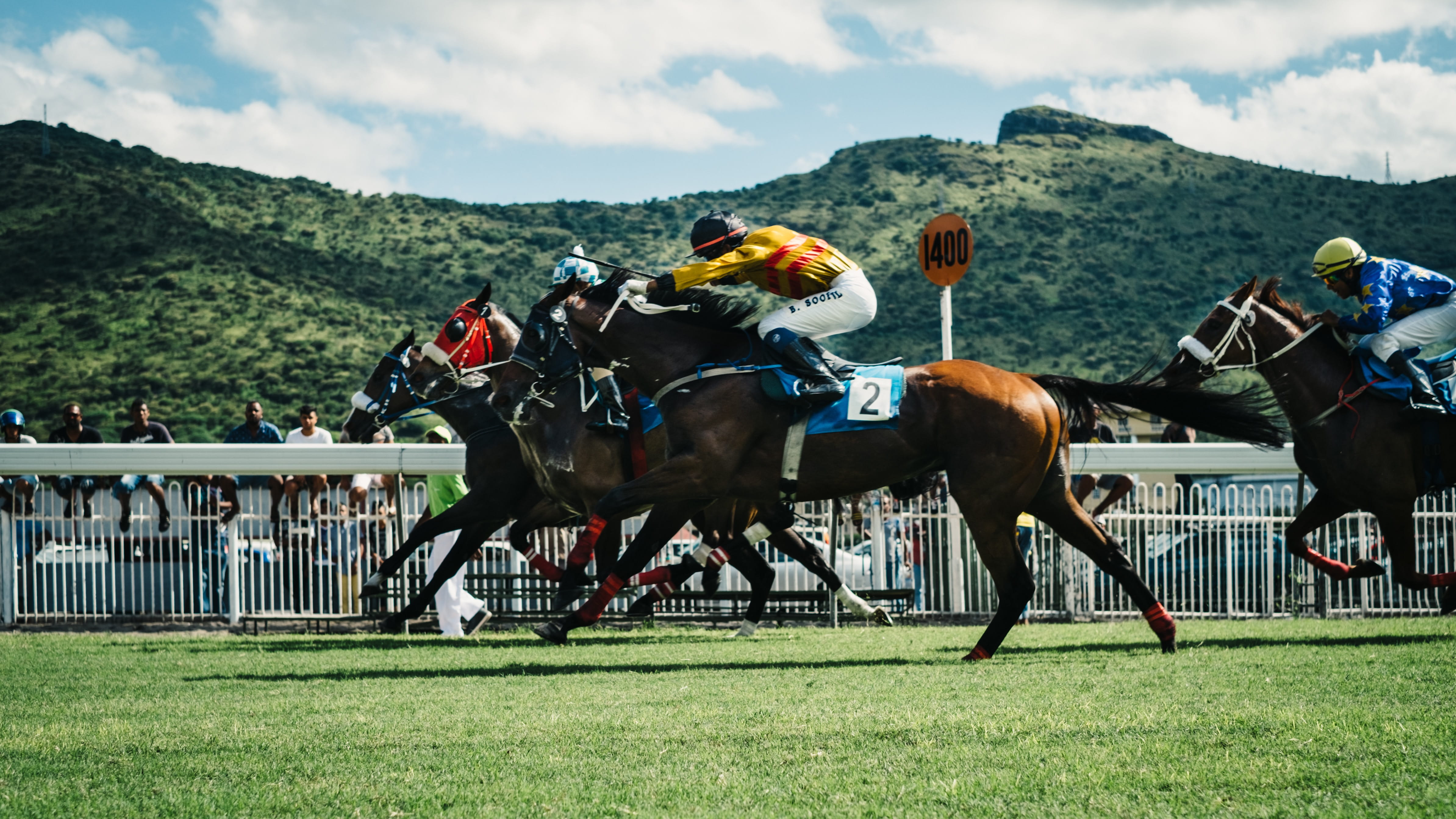 Three horses race neck-to-neck on a racetrack with a beautiful green mountainous backdrop. Spectators watch the race in the mid-ground. A fourth horse follows the leading pack.