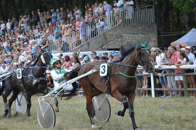 A standing crowd fills the stalls and the space alongside the grass race track. A driver dressed in green and white is in the sulky behind a harnessed horse. The horse has green ear coverings which match the driver’s clothes. 